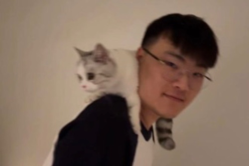 1708508363893_副本.jpg