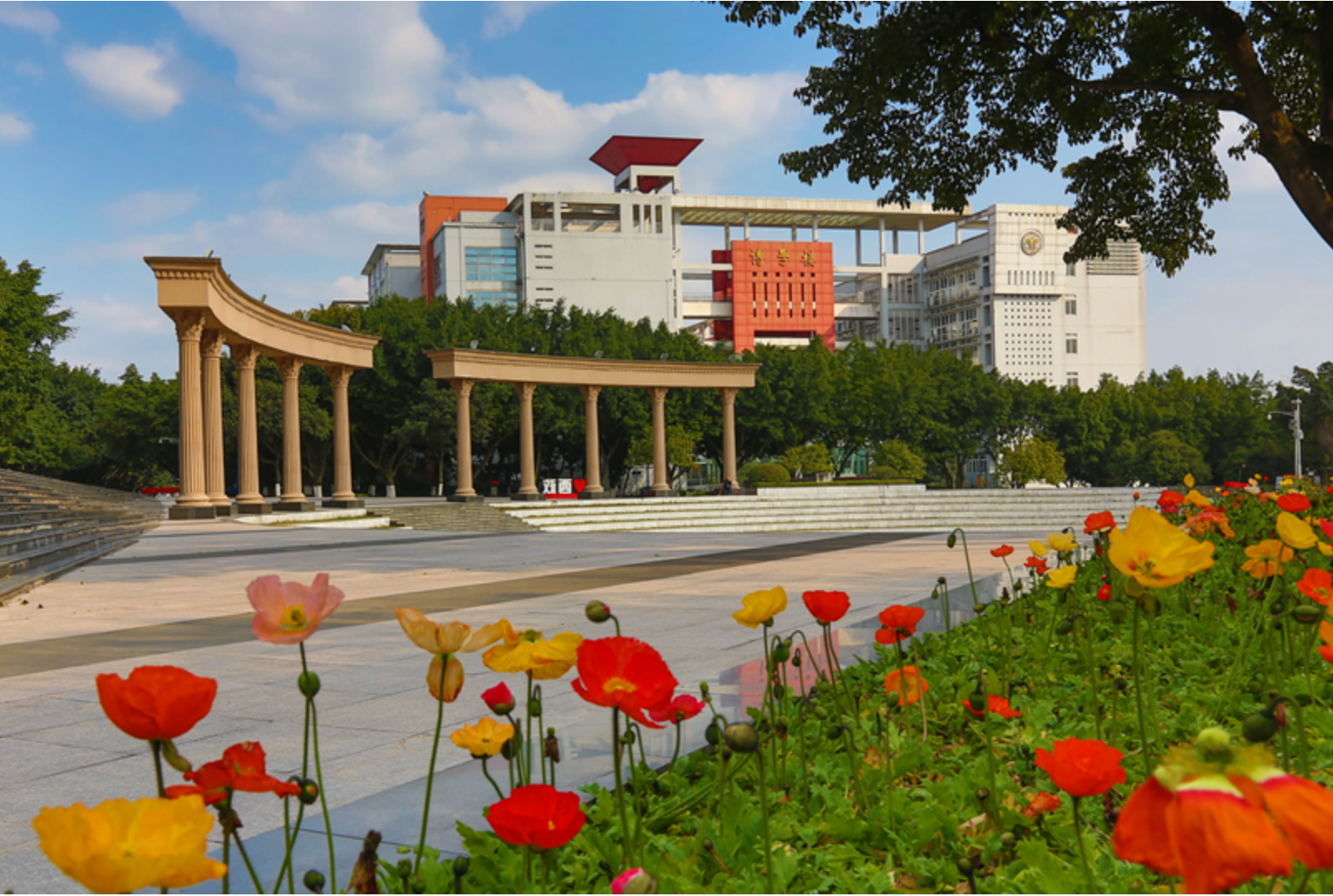 屏幕截图 2024-03-19 095605.png