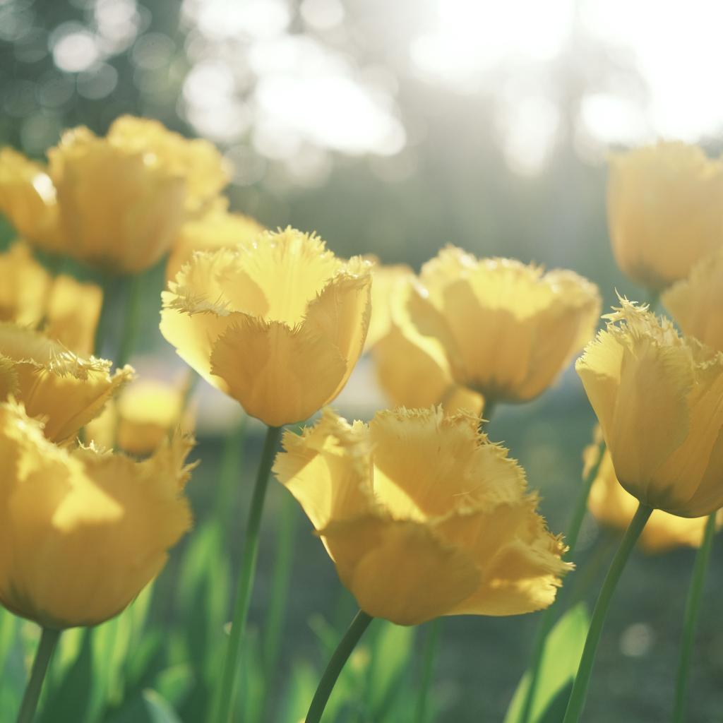 a73de876dc5c3da05e60d493ad60583.png