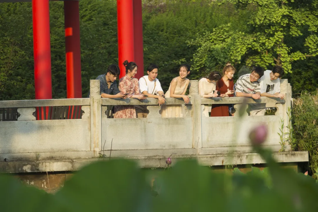 专业封面图.png
