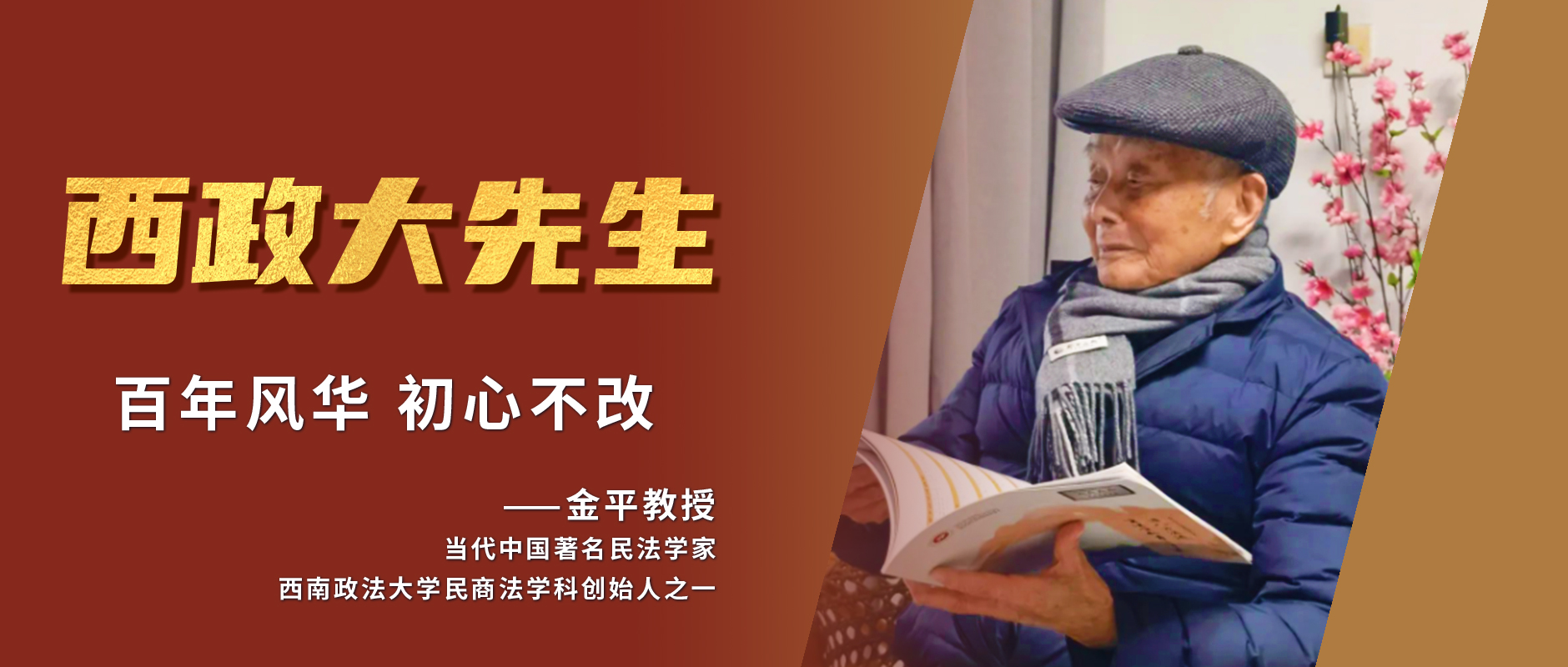 金平教授.jpg