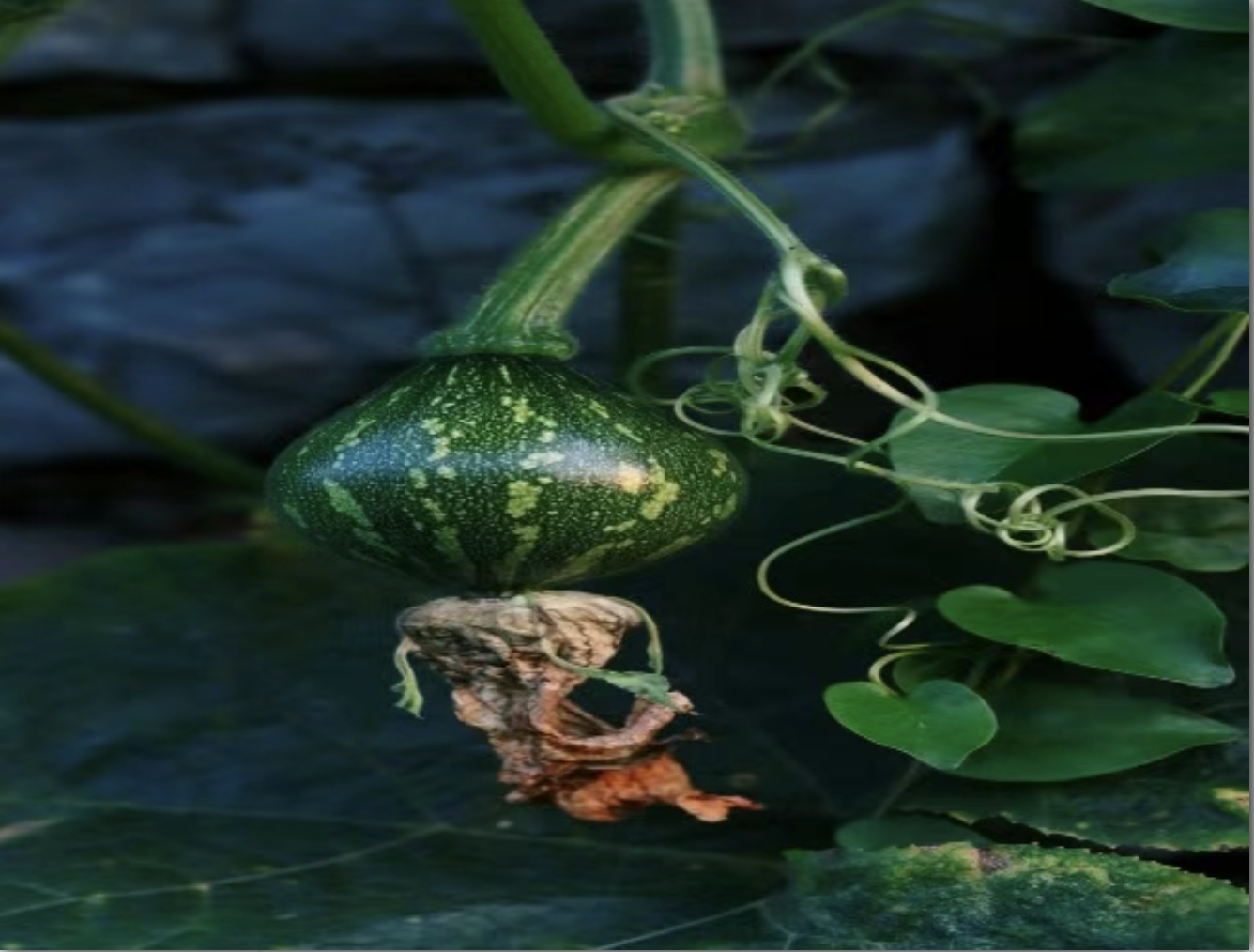 截屏2026-03-31 12.14.01.png