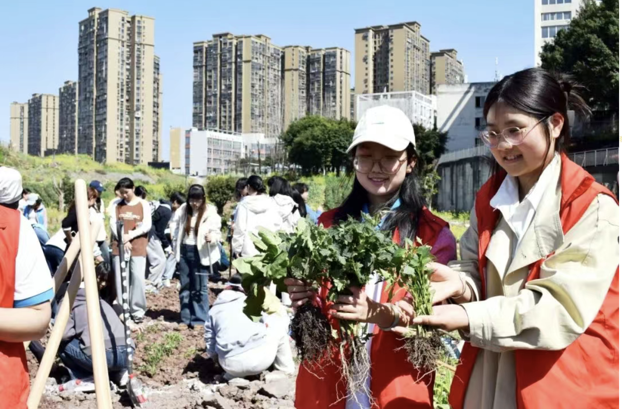 截屏2026-03-31 11.09.33.png