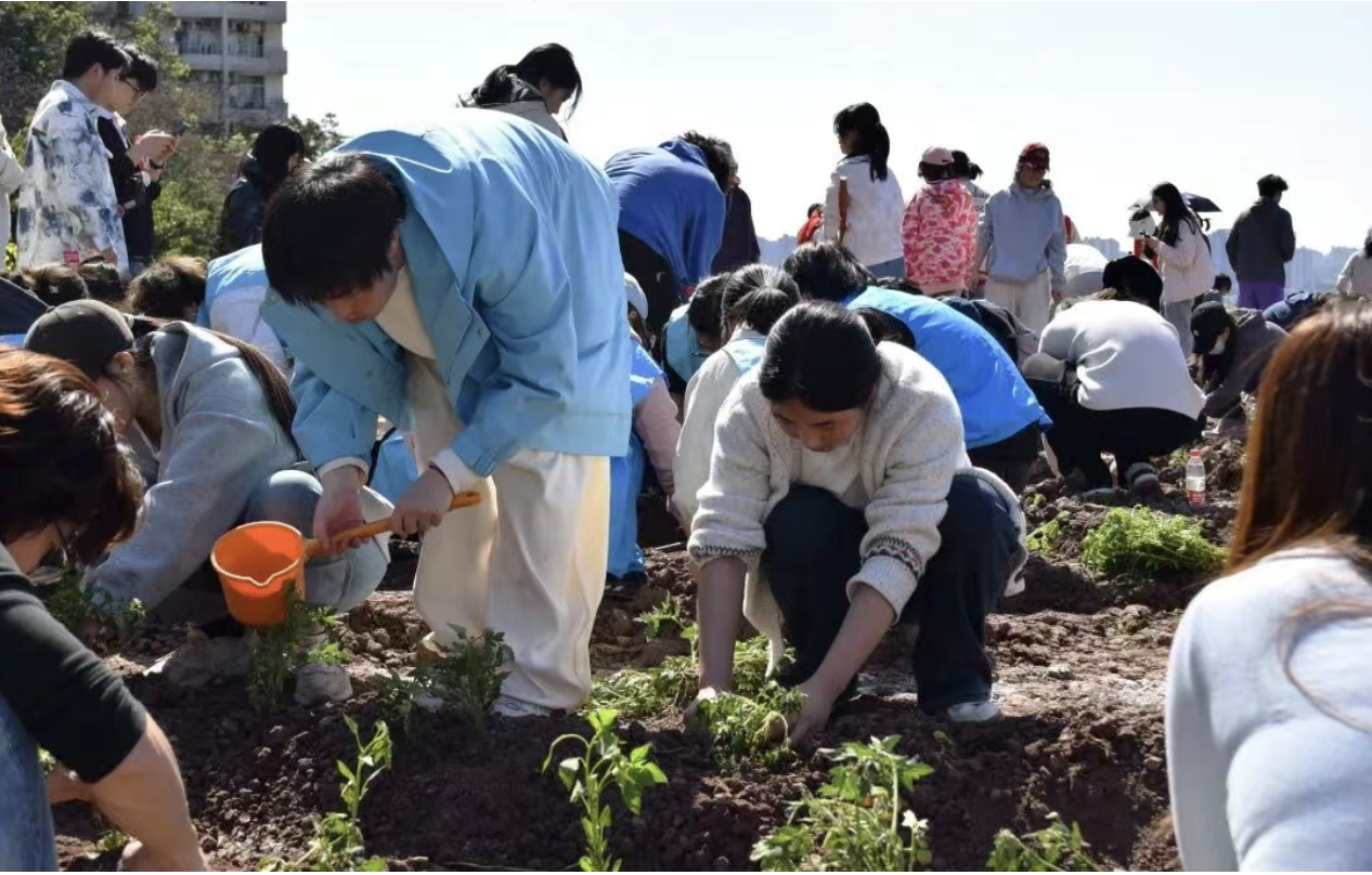 截屏2026-03-31 10.57.10.png