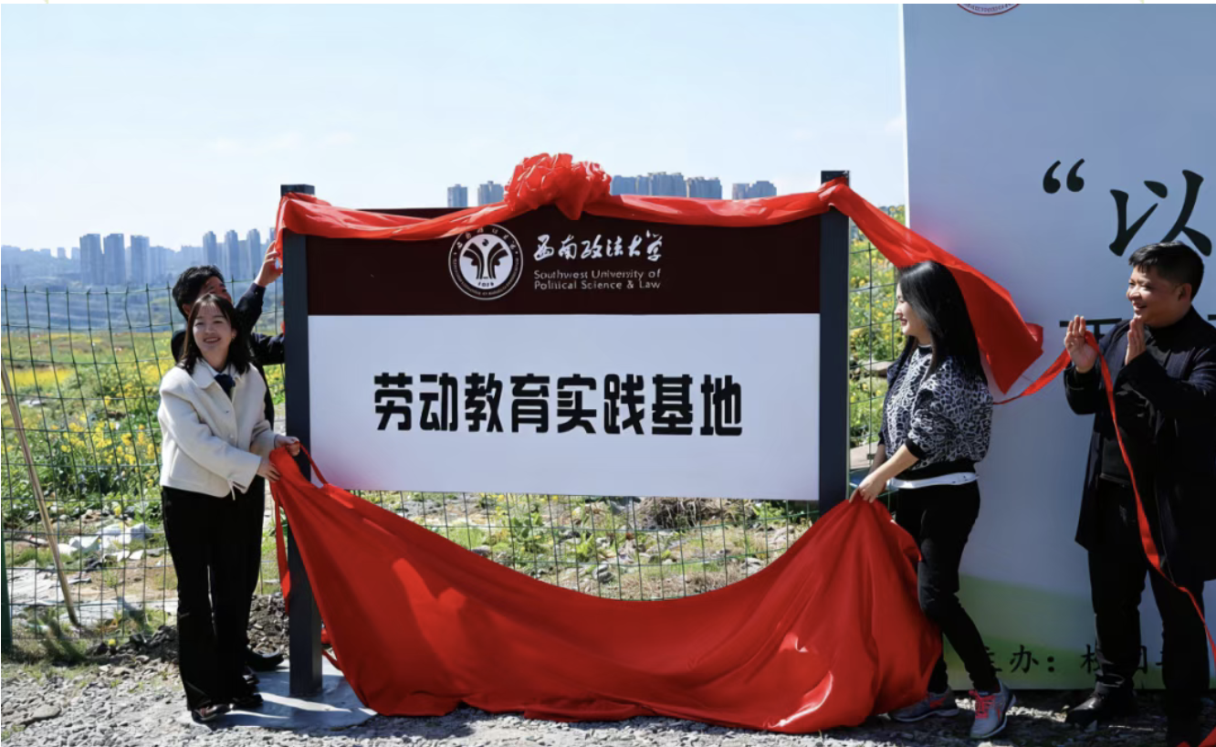 截屏2026-03-31 10.48.42.png